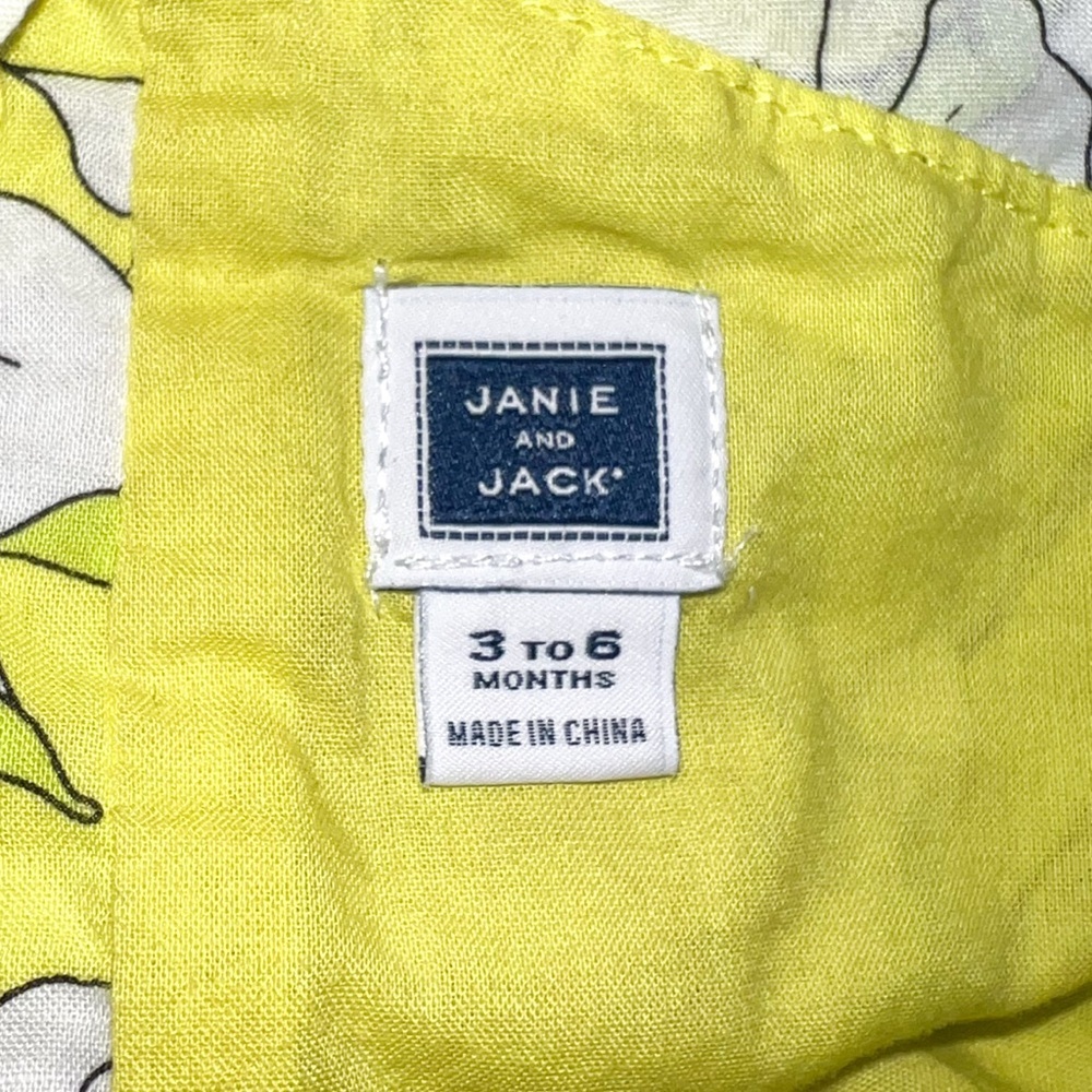 Janie and Jack Glow Lemonade Bloom Floral Ruffle Dress, Size 3-6M - Picture 3 of 13